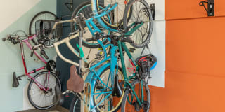 The Village Drey Gallery 57