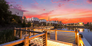 The Residences at Sakura Novi Gallery 59