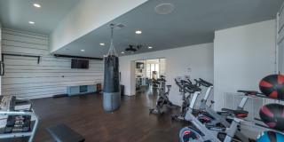 Red Knot at Edinburgh Gallery 28