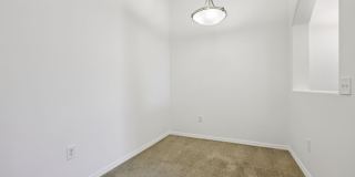 Altessa Gallery 65