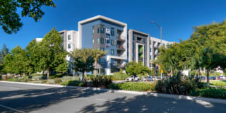 The Lex The Lex Gallery 2