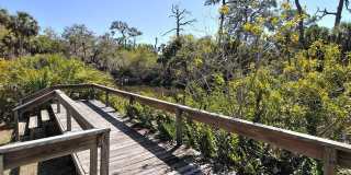 2746 ORCHID OAKS DRIVE Gallery 56