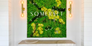 Somerset Apartments Gallery 25