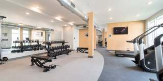 Vida Kannapolis Gallery 8