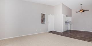 Mountain Springs Gallery 27