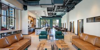 Carraway Village Gallery 9