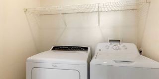 Avalon Russett Gallery 10