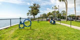 Dream Space Coast Gallery 25