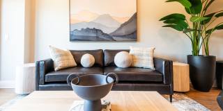 Carraway Village Gallery 19