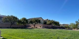 8432 Cheerful Brook Avenue Gallery 12