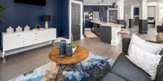 Cavalier @ 100 Gallery 19