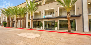 Accent Gallery 29