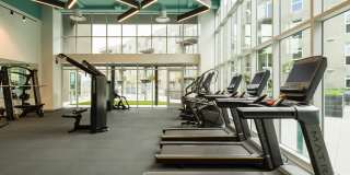 Silva Los Angeles Gallery 9