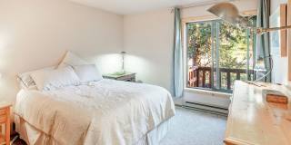 FRISCO ! Furnished! 1 pet negotiable!  An Artist's retreat! Must see. Gallery 21