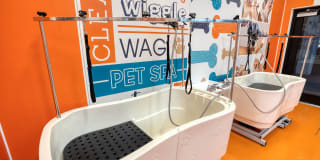 Meridian at the Port Gallery 16