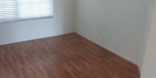 1003 Lumsden Trace Circle Gallery 41