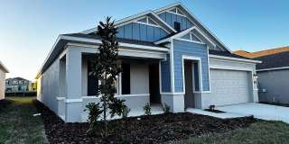 339 PUMA LOOP Gallery 1