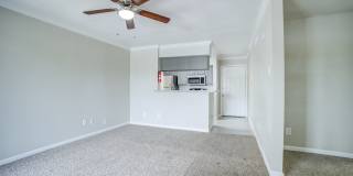 Ashford Santa Ana Gallery 3