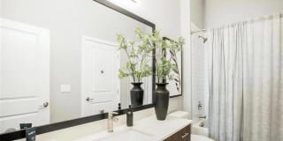 Alta Wren Gallery 11