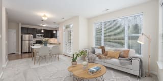 Delta Flats Gallery 3