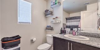 6816 Citron Mist Court Gallery 20