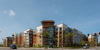 Citron at the Packing District Gallery 75