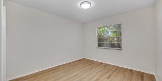 Renovated Apartment in the Heart of Carollwood Gallery 18