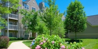 Stonehaven Gallery 6