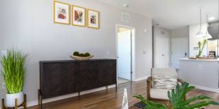 Alta Longwood Gallery 65