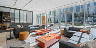 The Laurent Gallery 15