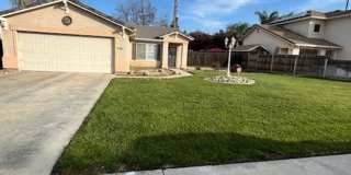 Available Now! Gallery 1