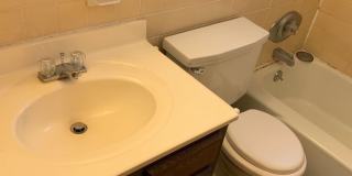 Nandale - Yellow Gallery 13