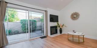 15 Camphor S Gallery 16