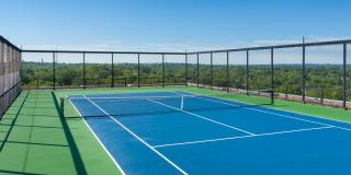 Willard Towers Gallery 16