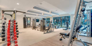 Alta Purl Gallery 34