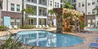 Novus Westshore Novus Westshore Gallery 1