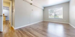 Charter Oaks Gallery 28