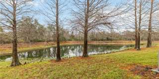 9040 WHITE SAGE LOOP Gallery 33