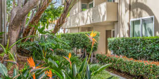 West Park Village Gallery 5