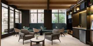 Dahlia Gallery 8