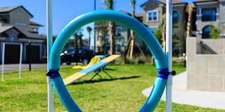 Lake Nona Watermark Gallery 34
