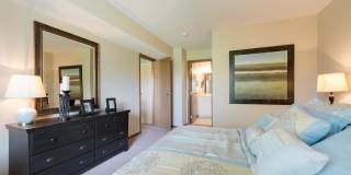 Mallard Ridge Gallery 12