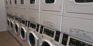 Royal Oak Estates Gallery 113