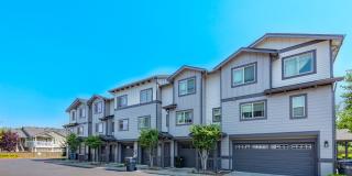 Aster Townhomes Gallery 8