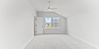 103 Bloomsbury Street Gallery 17