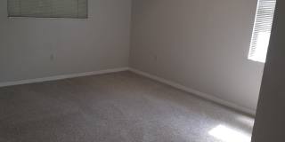 5373 North Mock Orange Drive Gallery 18