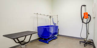 Grand Oaks at Crane Creek Gallery 12