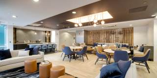 Lex and Leo at Waterfront Station Gallery 1