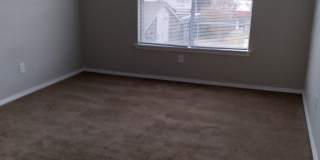 Timberline Gallery 28