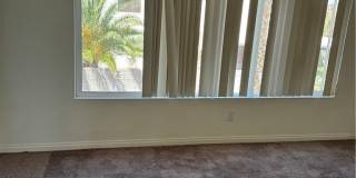 8412 Diamond Dust Drive Gallery 6